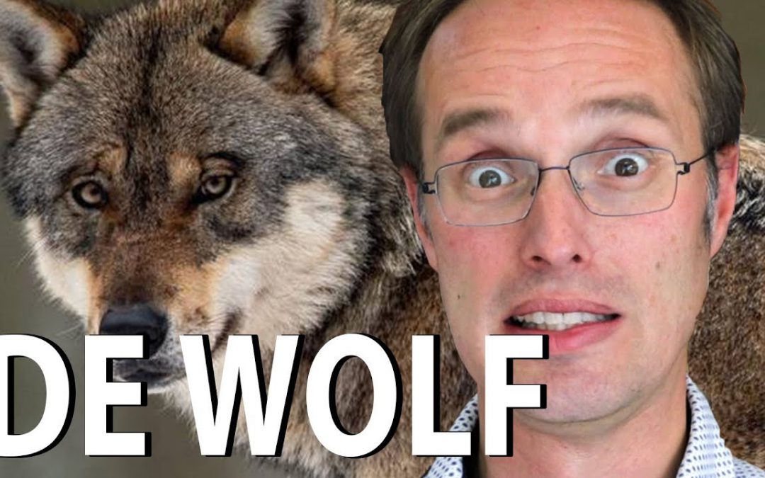 De wolf van liefde en haat