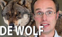 De wolf van liefde en haat