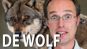 de wolf van liefde en haat