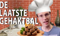 De laatste gehaktbal